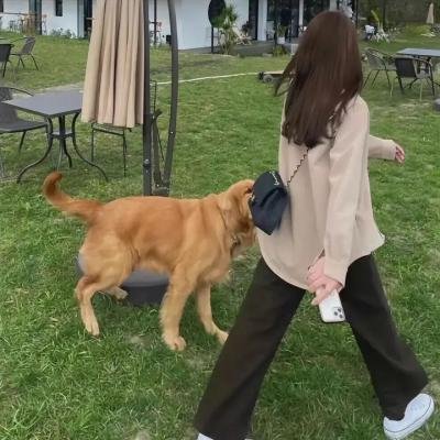 噪音