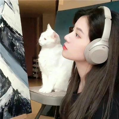 红楼春怨